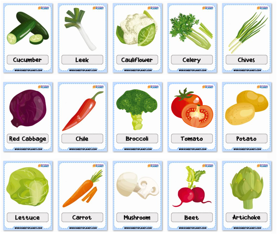 vegetables-vocabulary-flashcards-worksheets-planet