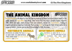 The Animal Kingdom For Kids