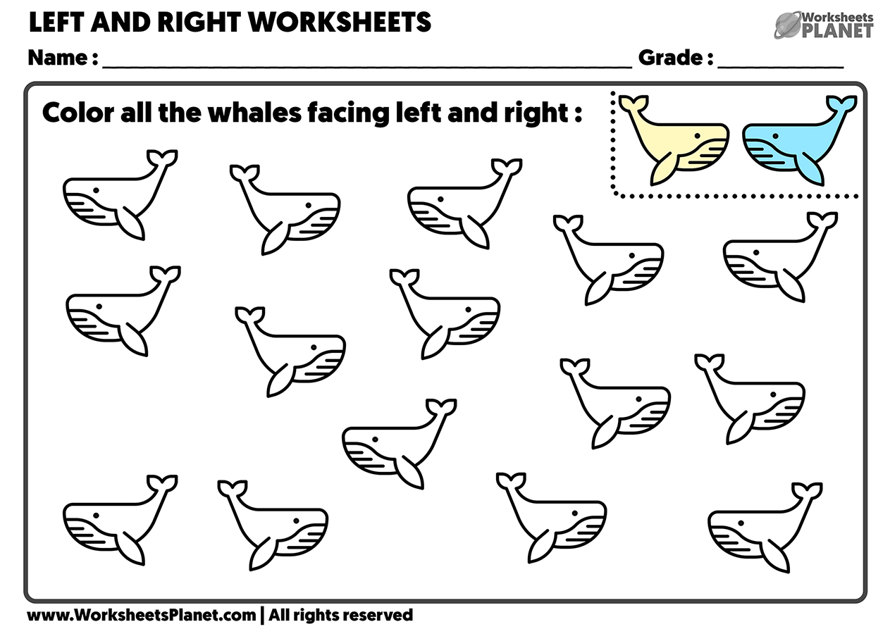 english-esl-right-or-left-worksheets