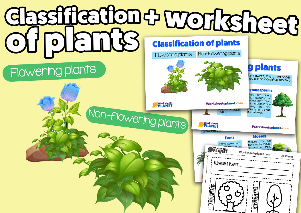 classification-of-plants-science-resource-for-primary-kids