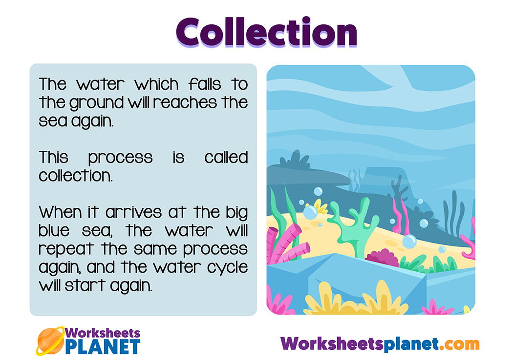 The Water Cycle Elementary Science