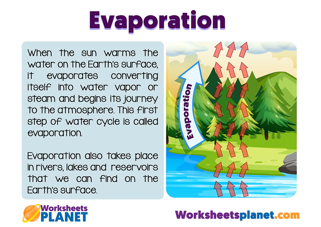 The Water Cycle For Primary Kids