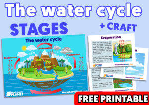 The Water Cycle Stages And Craft