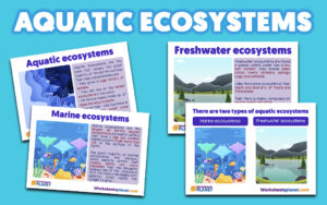 Aquatic Ecosystems For School
