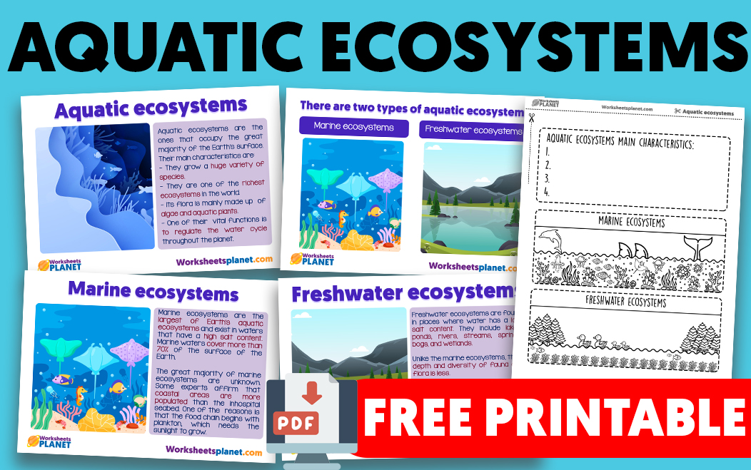 Aquatic Ecosystems For Kids