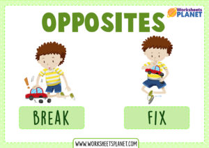 Basic Opposite Words