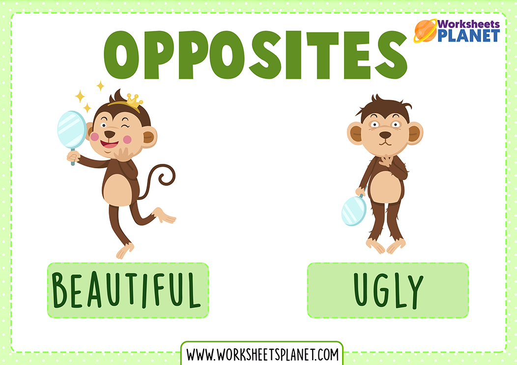 English Teacher ESL Opposites Flashcards