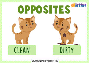 Flashcards Opposite Words