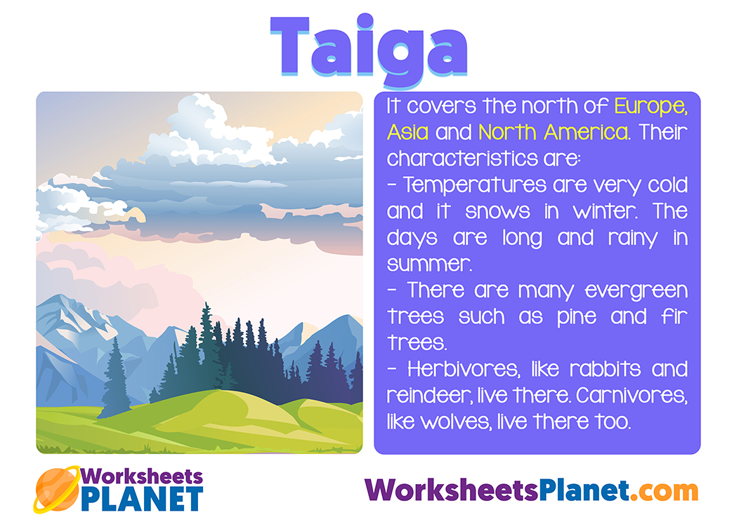 Taiga Ecosystem