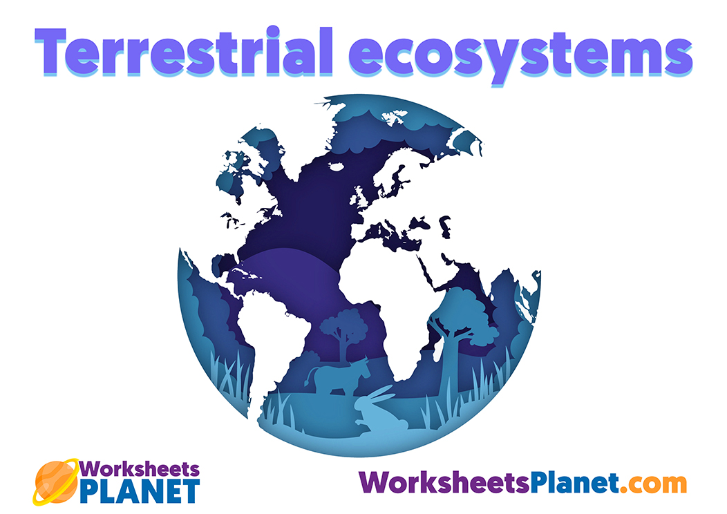 Terrestrial Ecosystem Teaching Resource