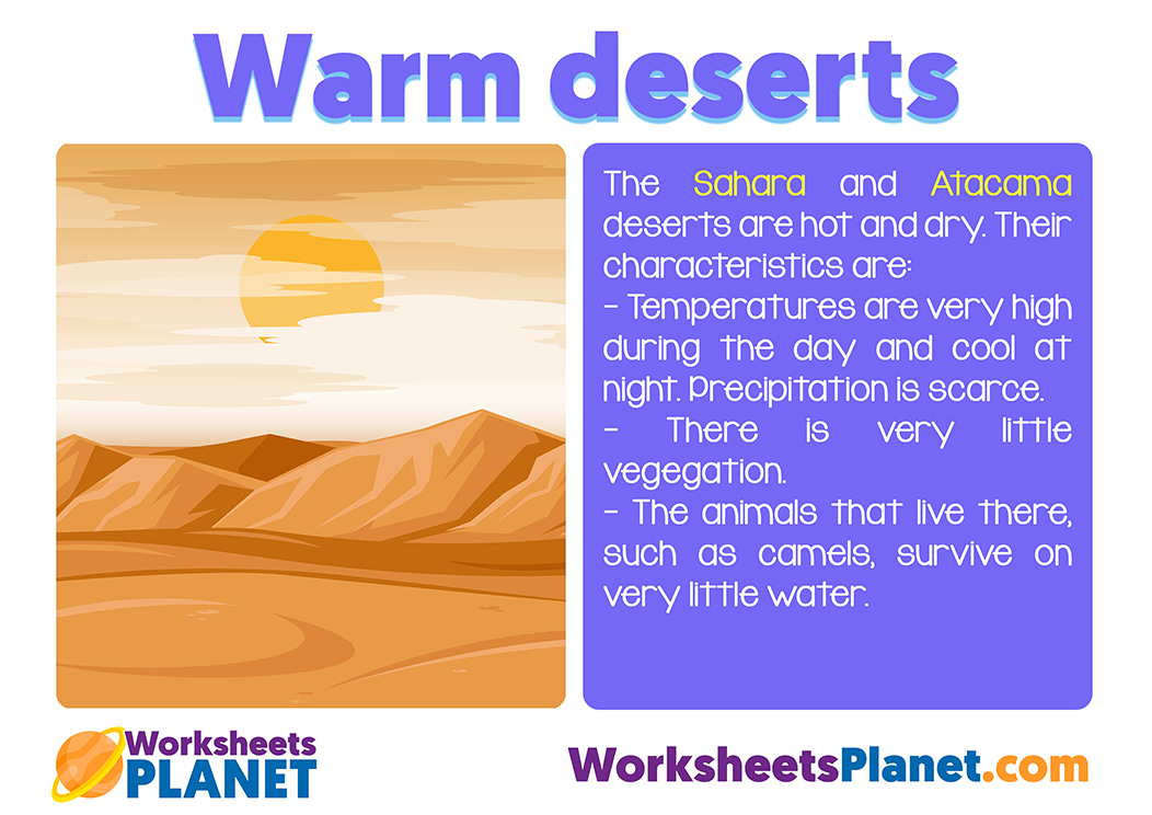 Warm Desert Ecosystem