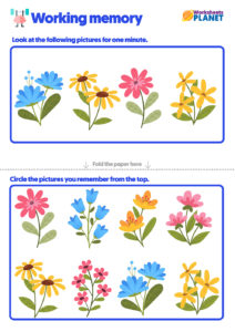 Working Memory Free Activities