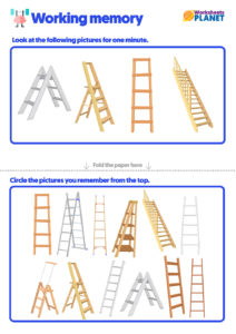 Working Memory Practice Activity