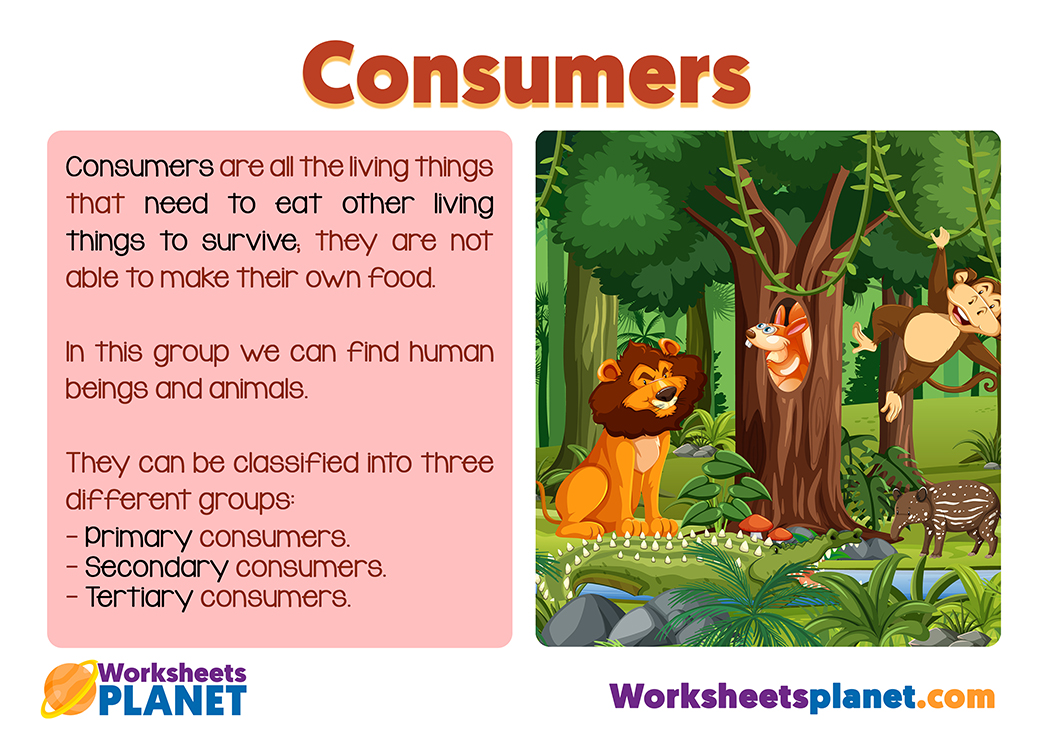 Consumers In The Food Chain