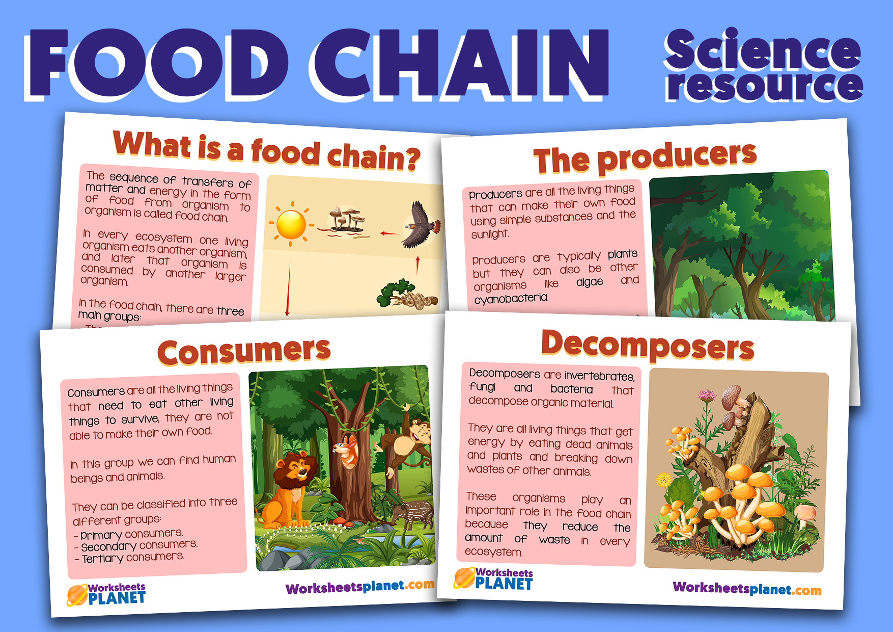 what organisms produce their own food