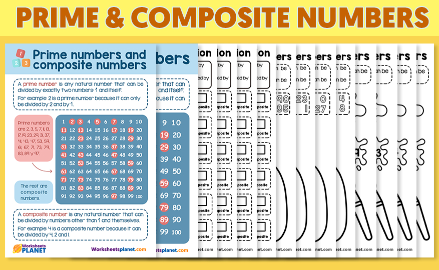 What Are Prime Numbers