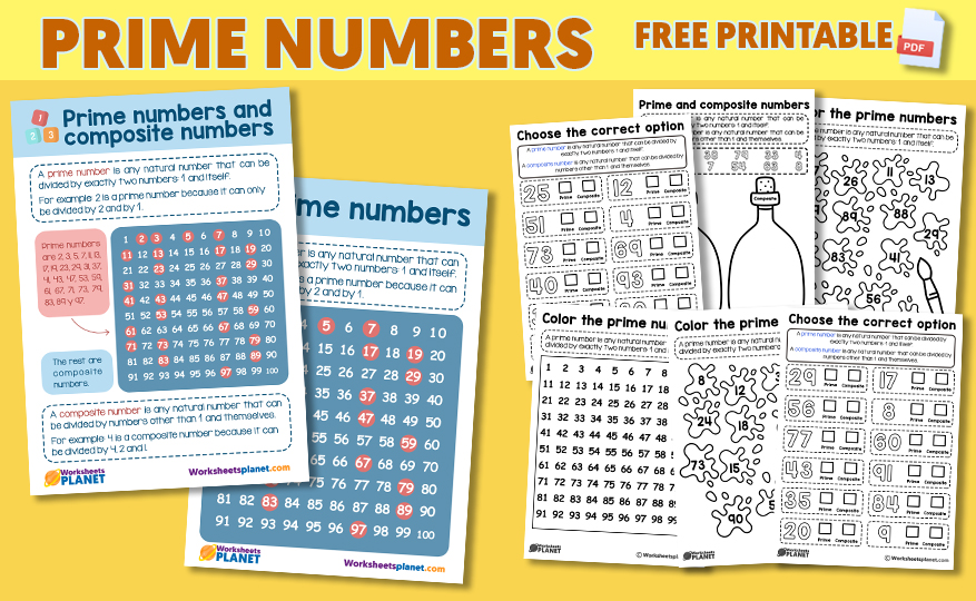 What Is A Prime Number