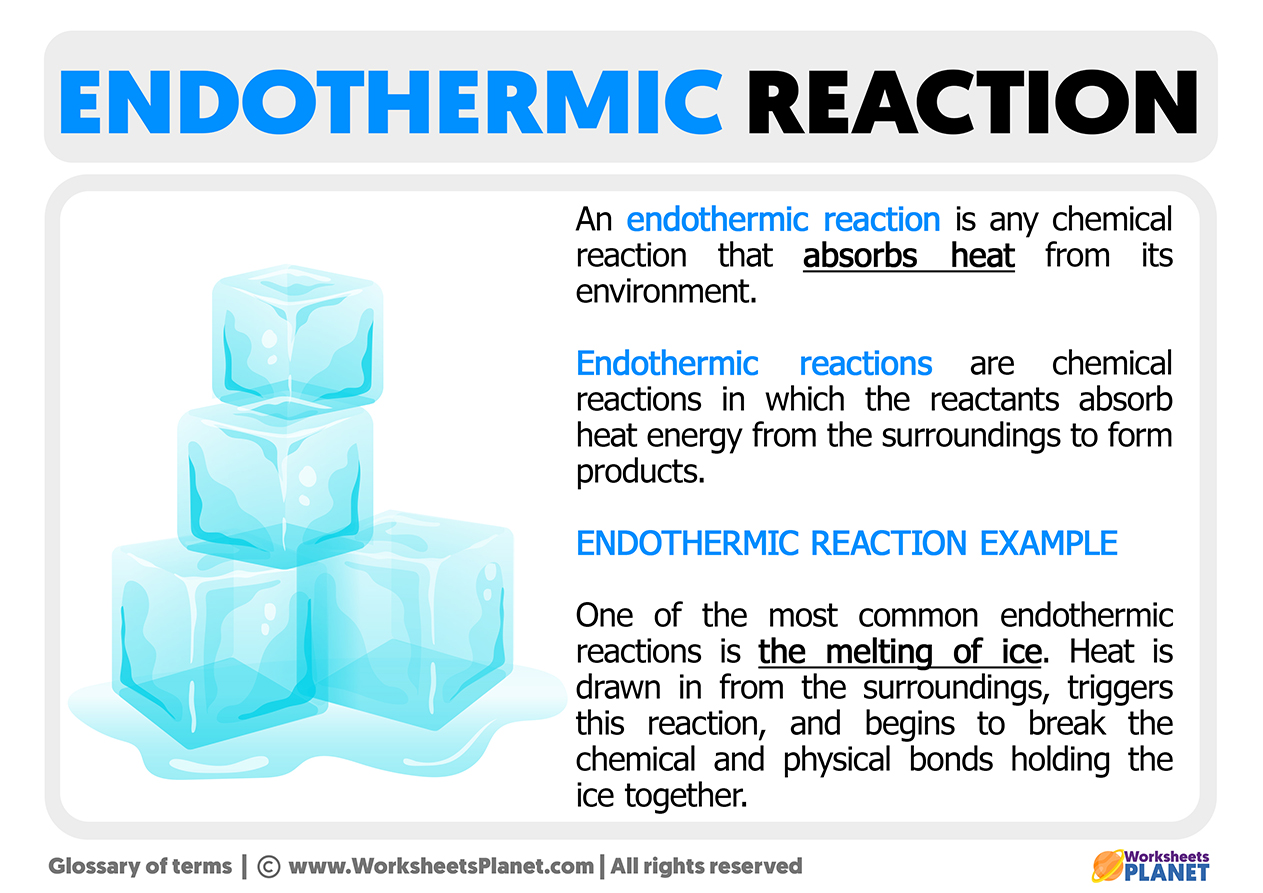 What is an Endothermic Reaction