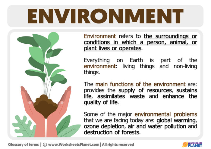 What Is The Environment Definition And Characteristics what-is-the-environment-definition-and-characteristics