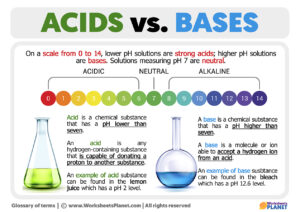 Acids And Bases