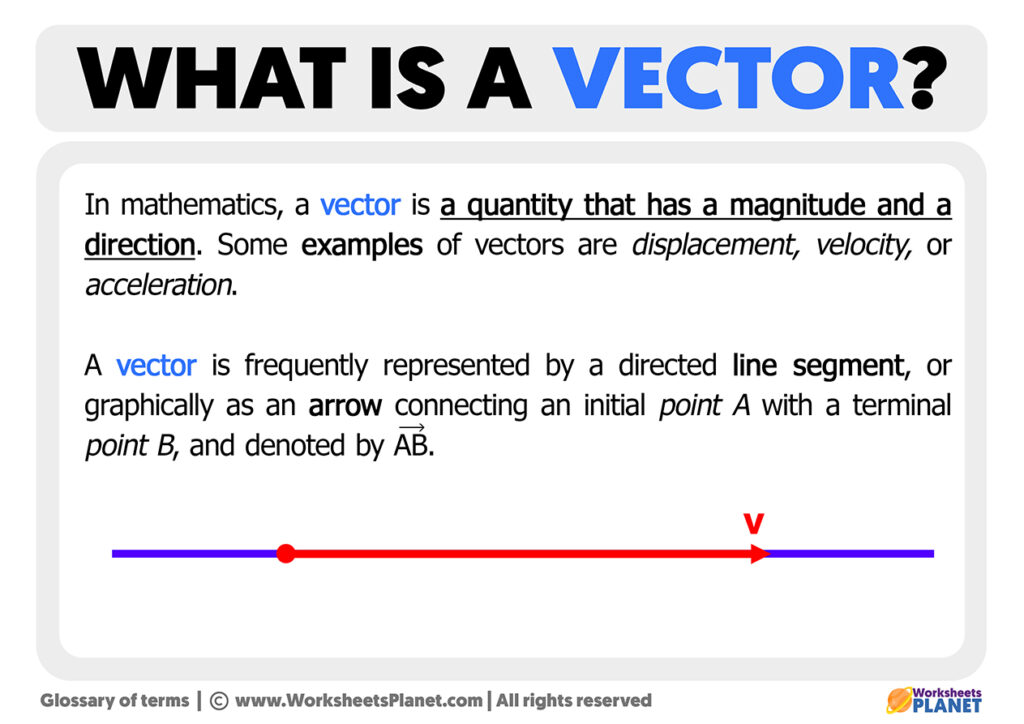 What is a Vector Definition of Vector