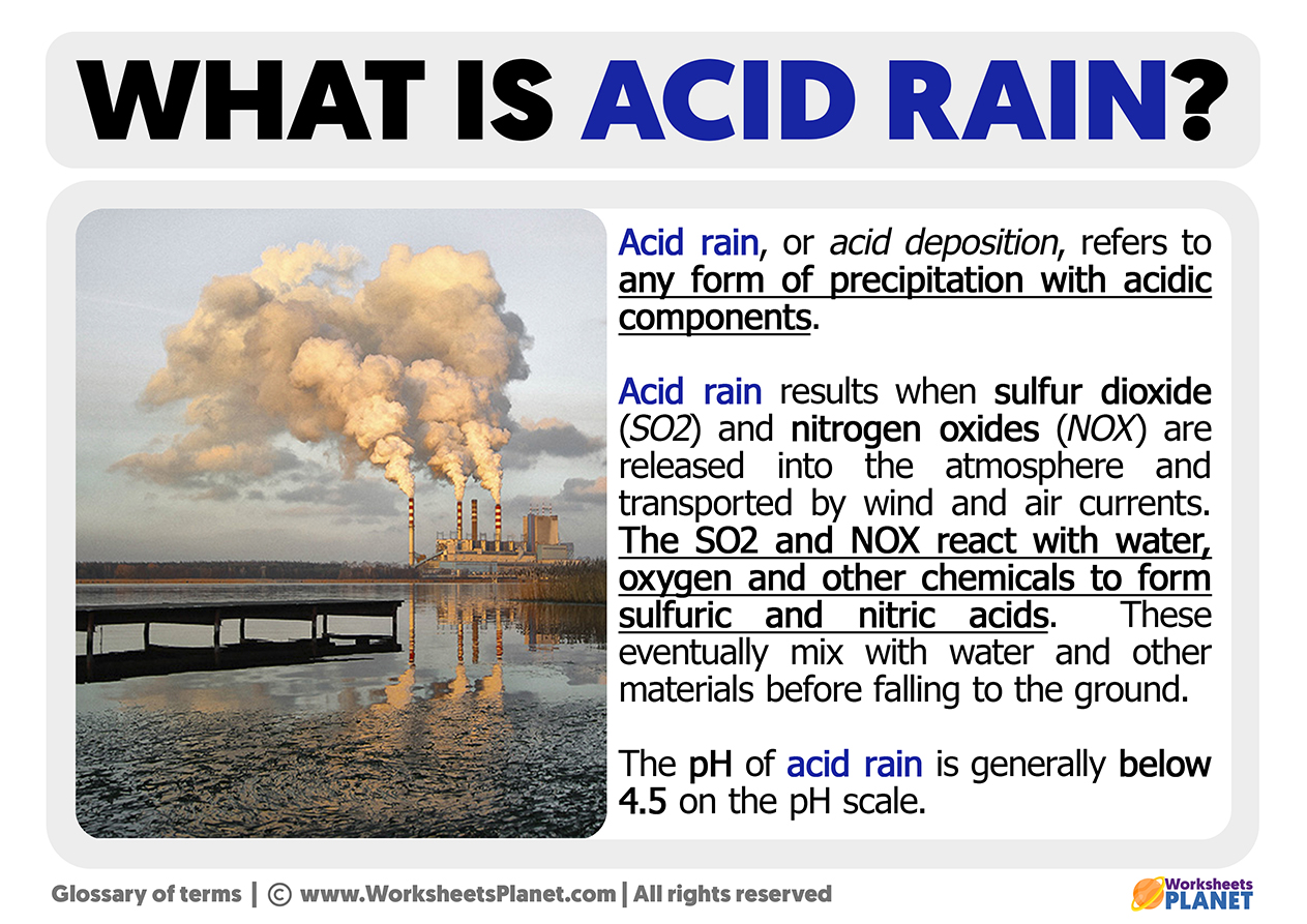 what is the acid rain essay