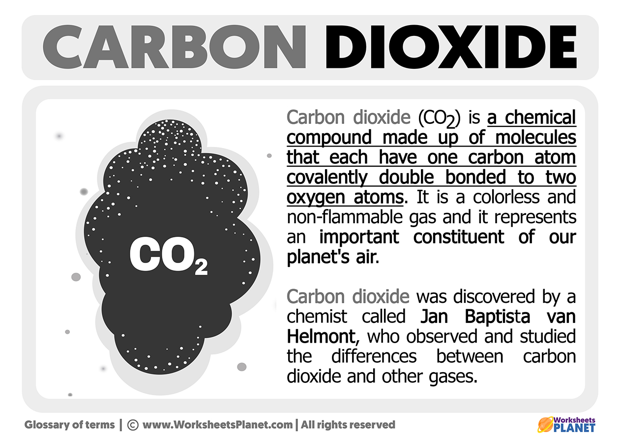 What Is Carbon Dioxide