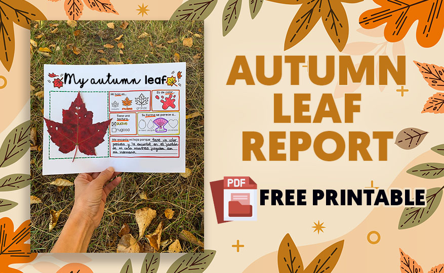 Autumn Leaf Report