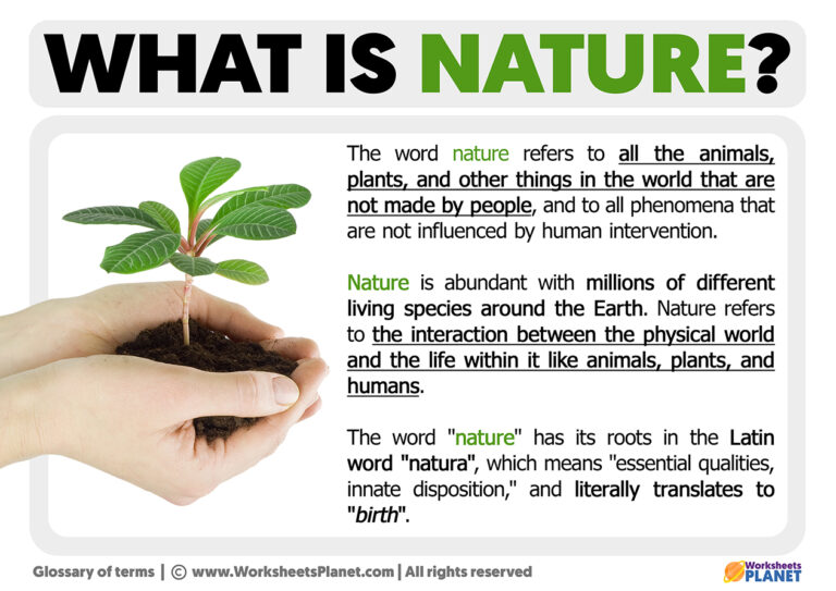 presentation nature definition
