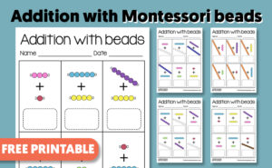 Montessori Activities For Kids