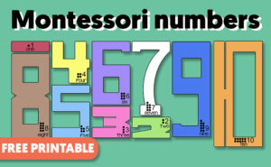 Montessori Numbers Template