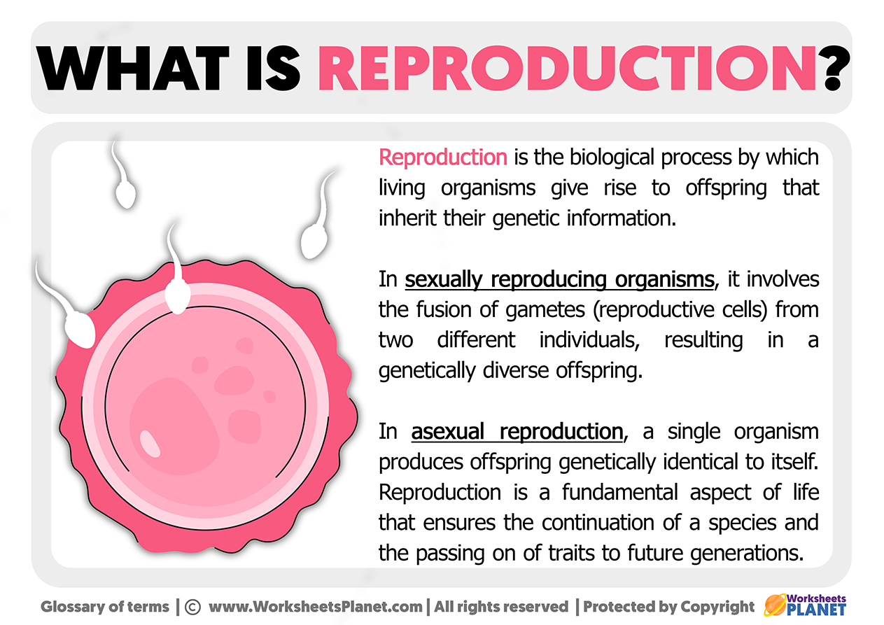 Reproducing