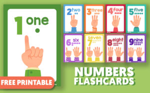 Numbers Flashcards