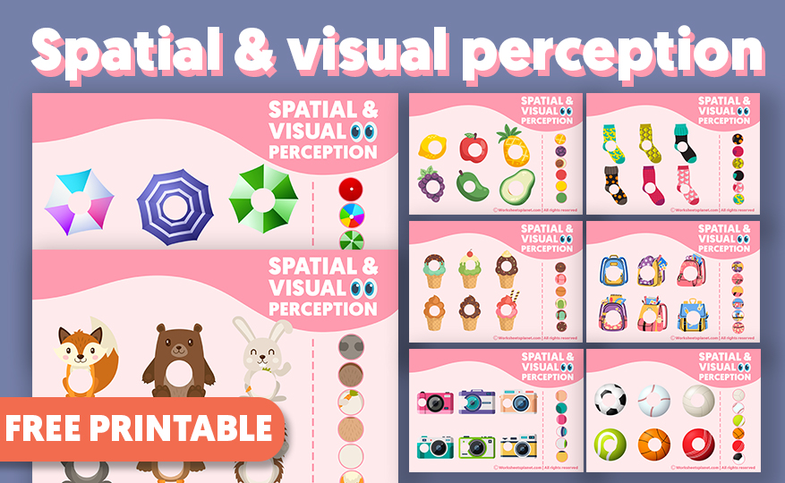 Spatial And Visual Perception