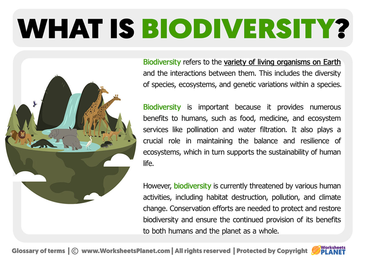 What is Biodiversity | Definition of Biodiversity