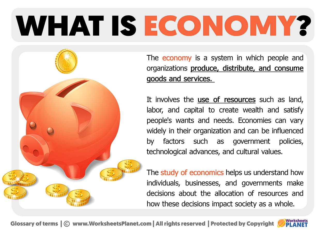 Definition of Economy