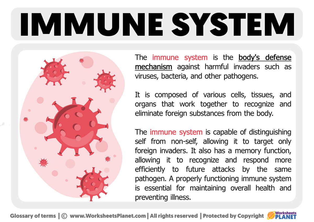 What is Immune System | Definition of Immune System