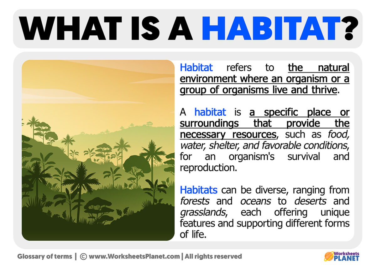 What is a Habitat Definition of Habitat
