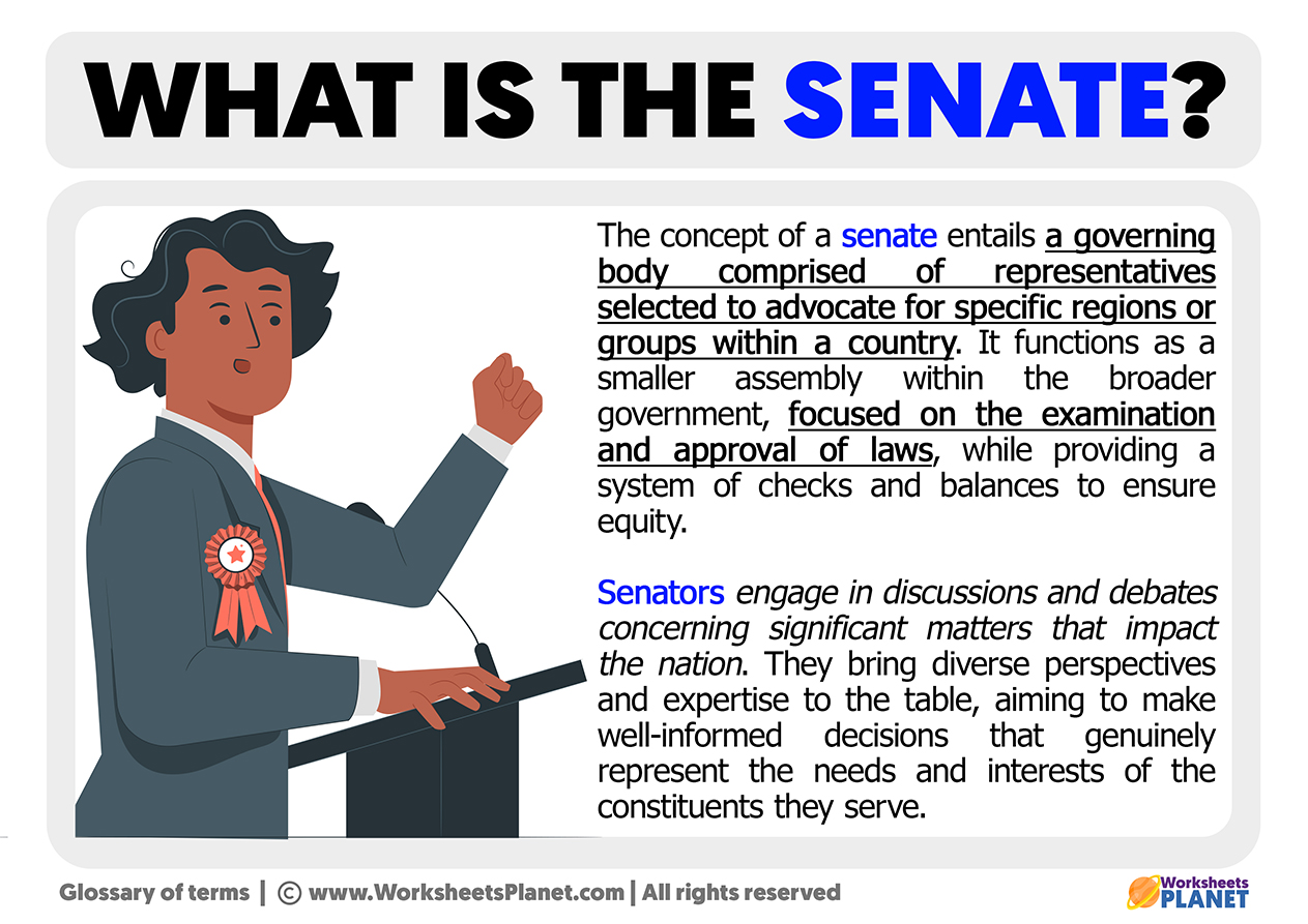 What Is The Senate