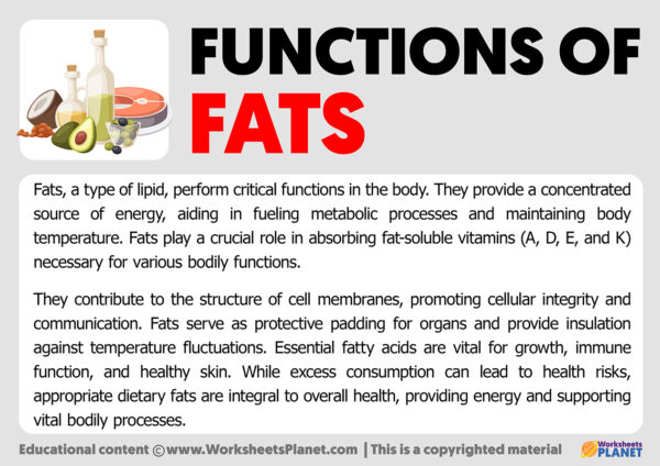 what is a major function of fats in living organisms