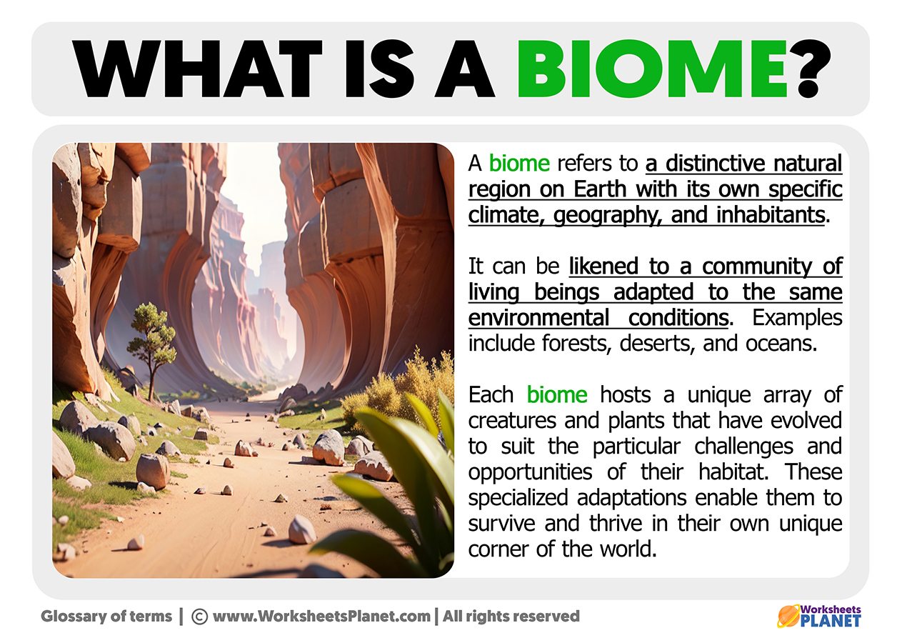 biome examples