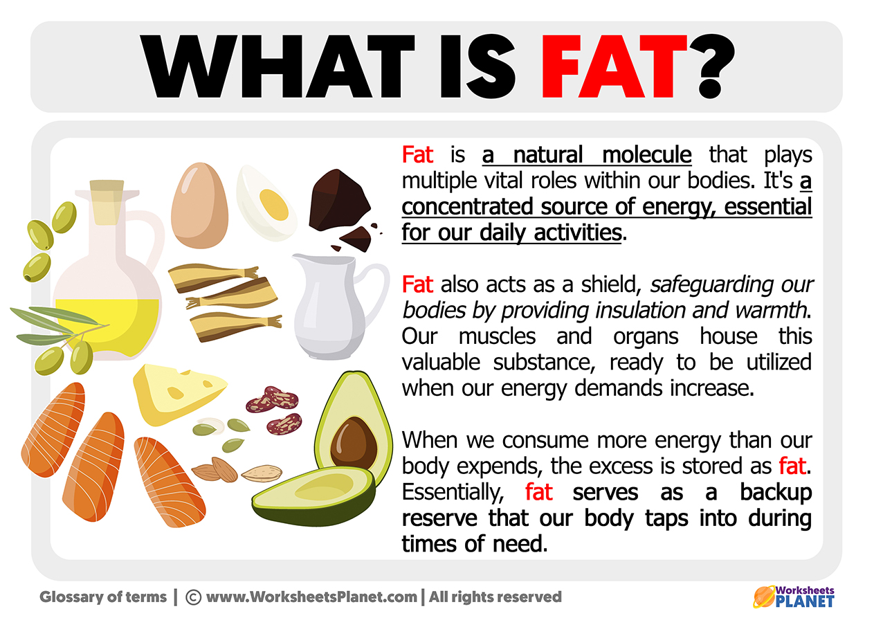 What Is Fat