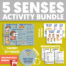 5 Senses Bundle