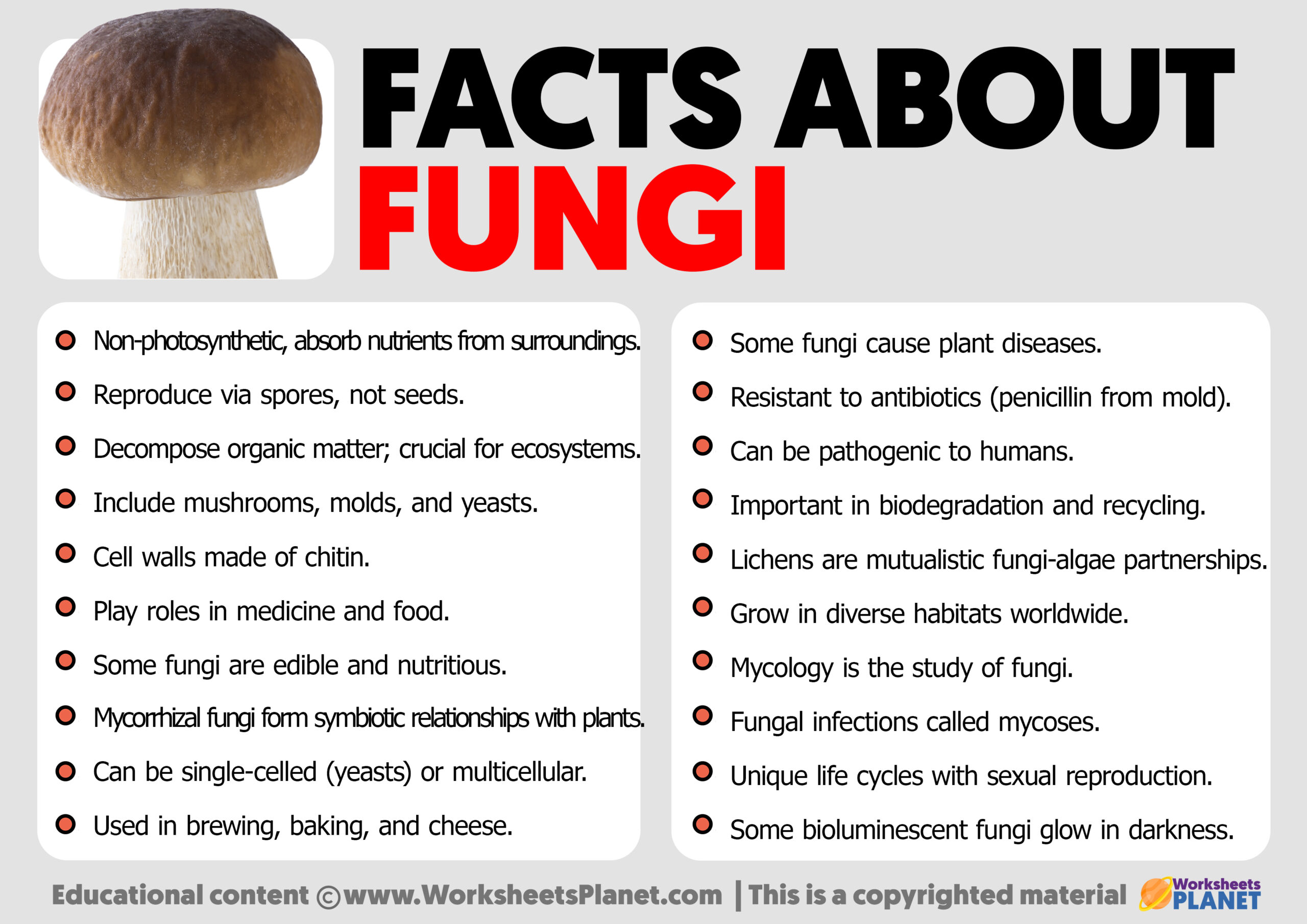 facts-about-fungi