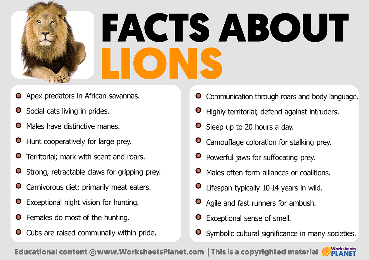 Facts about Lions