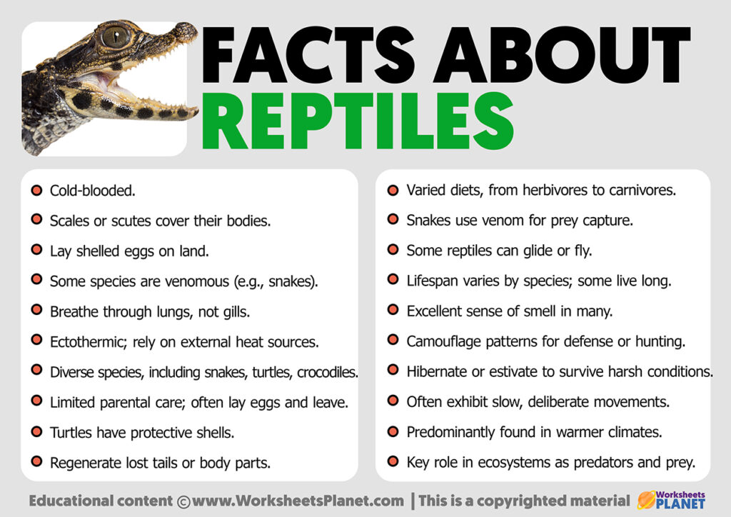 Facts about Reptiles