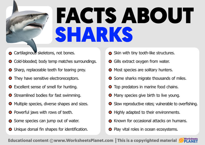 Facts about sharks