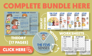 Five Senses Activity Bundle For Kids