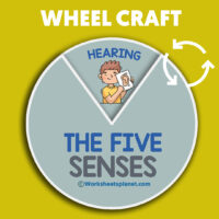 Five Senses Wheel Craft
