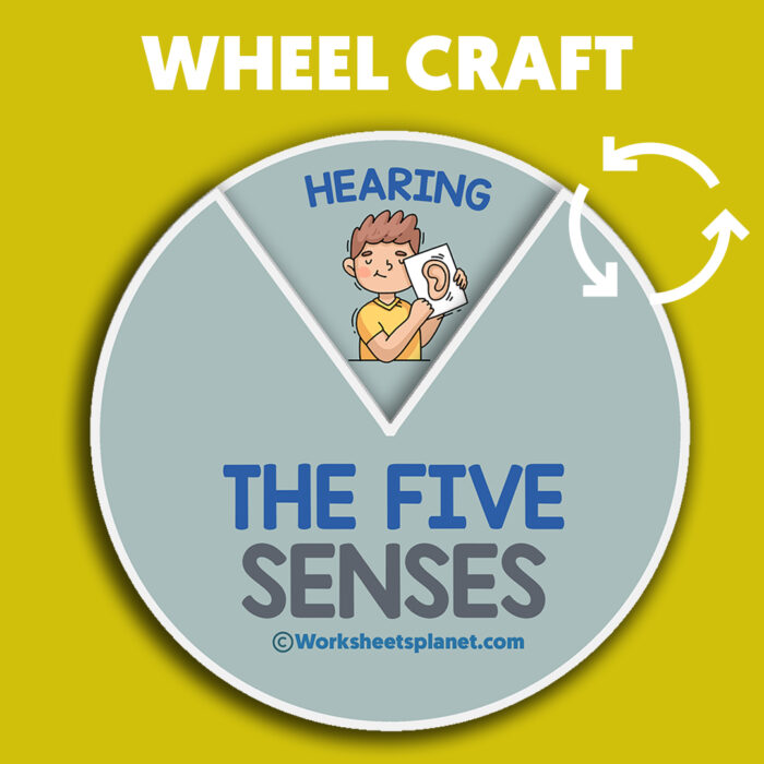 Five Senses Wheel Craft